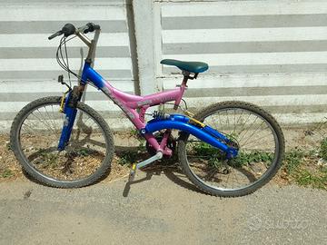 bicicletta 