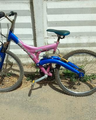 bicicletta 