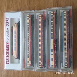 Trenini Fleischmann scala N e accessori per plastc