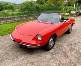 Alfa Romeo Duetto TARGA ORO