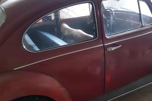 Wolkswagen maggiolino anno 1967
