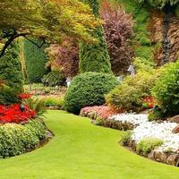 manutenzione giardini 