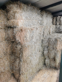 Ballette/ballini di fieno