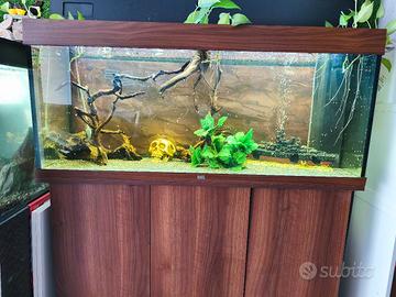 Acquario Juwel