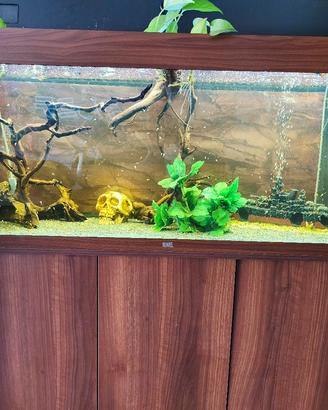Acquario Juwel