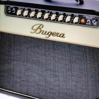 bughera 22