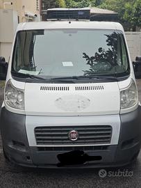 fiat ducato frigo 