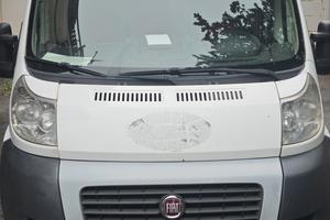fiat ducato frigo 