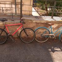 Bici Mountain bike e da passeggio 