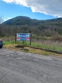 Terreno agricolo di 7000 mq