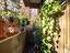 Immagine 12