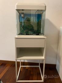Acquario