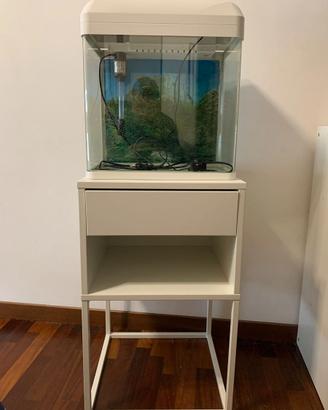 Acquario
