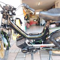 college prototipo cc 50