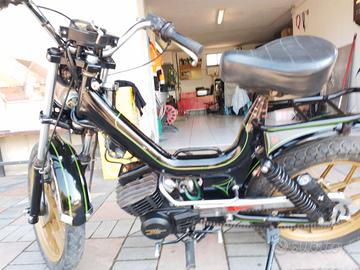 college prototipo cc 50