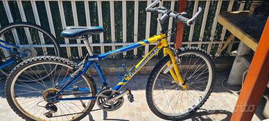 bicicletta montabike 