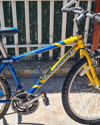 bicicletta montabike 