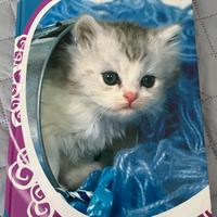 Maxi Quaderno a righe cartonato