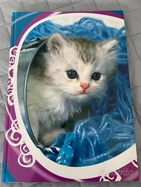 Maxi Quaderno a righe cartonato