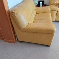 divani  in pelle 