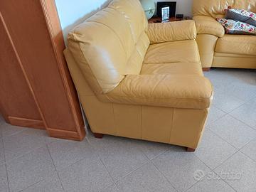 divani  in pelle 