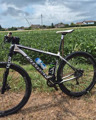 Cannondale f29  full carbon 29" tg L anno 2014