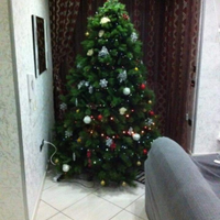 Albero di natale