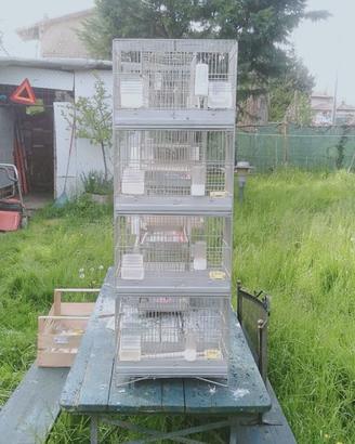 gabbie cova per uccelli