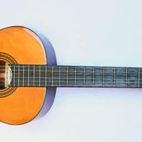 Suzuki G-15 Chitarra Concert size