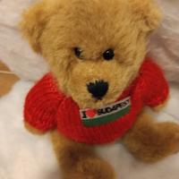 Orsetto in peluche 
