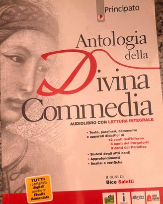 Libro letteratura
