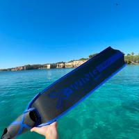 Pinne x wing c carbon medie