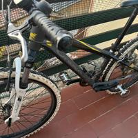 orbea bici ragazzo 24
