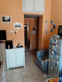 Ampio monolocale a sesto san giovanni mm marelli