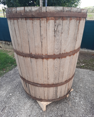 Antico Tino per mosto