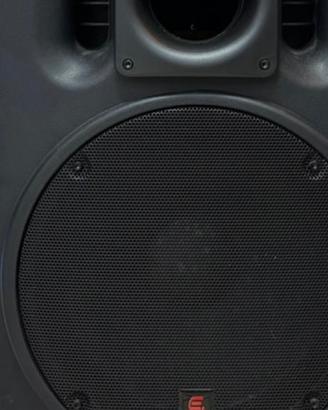 Coppia subwoofer Energy 15 pollici 