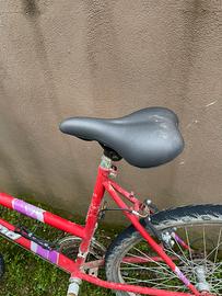 Bicicletta uomo