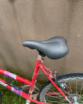 Bicicletta uomo