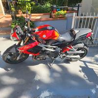 BENELLI TNT 1130 - Iconica Naked Tre Cilindri