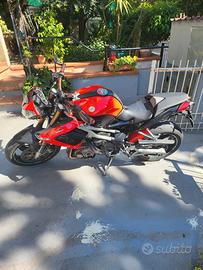 BENELLI TNT 1130 - Iconica Naked Tre Cilindri