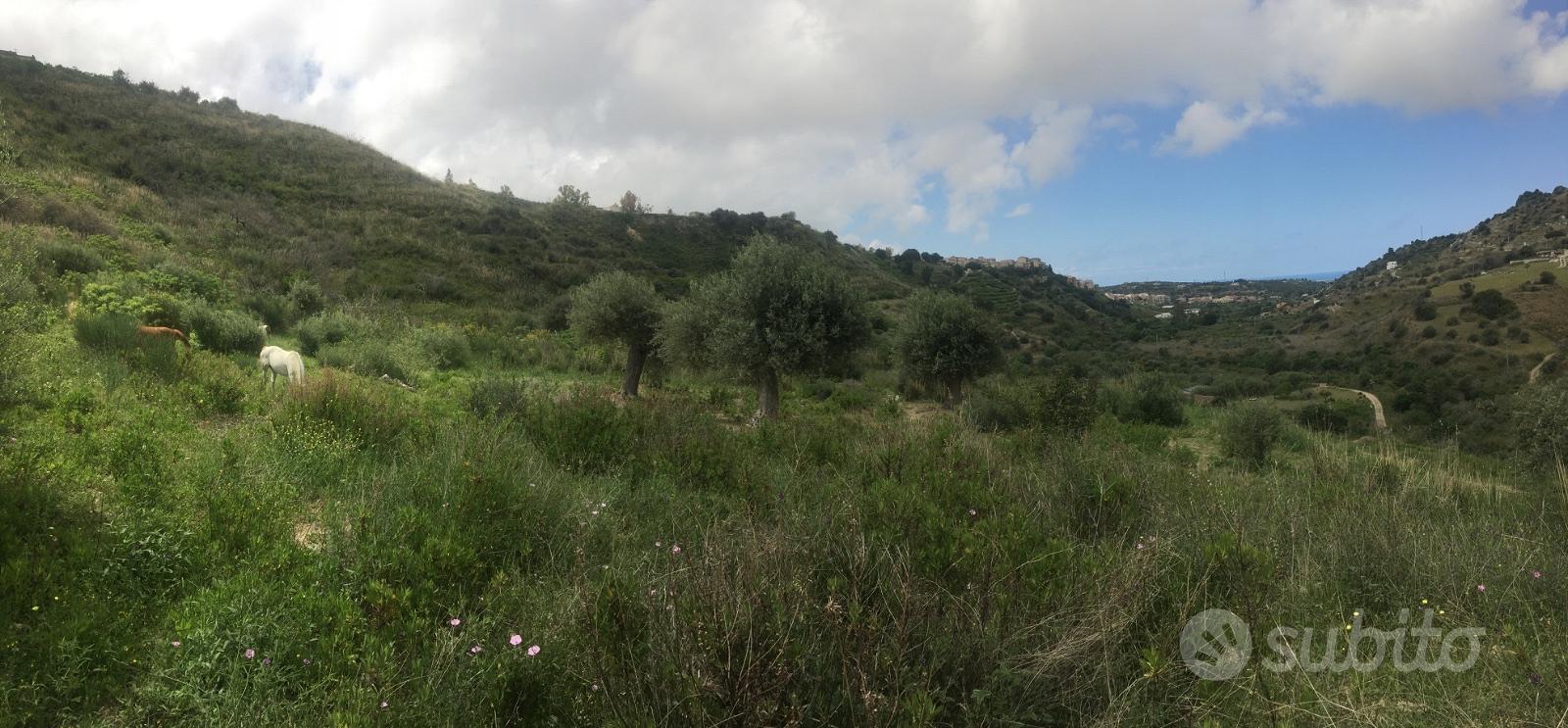Terreno agricolo con vista a Lascari - Vista 5