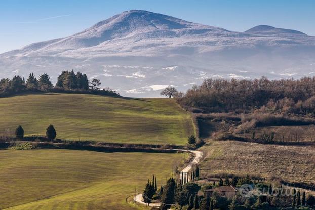 Terreno val d'Orcia