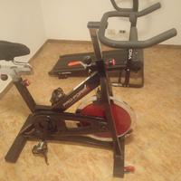 Spin bike ProForm 290 SPX (bici da indoor cycling)