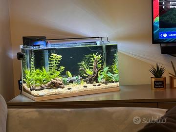 Acquario 60x30x33,5