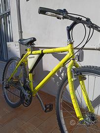 BICICLETTA 