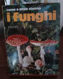 come è dove vivono i funghi, DeAgostini 1974.