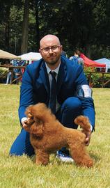 Barbone Toy Red alta genealogia