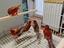 Immagine 1