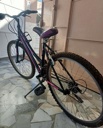Mountain bike Magnum