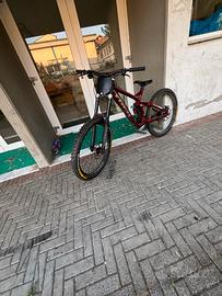 bici da downhill